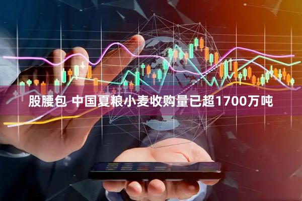 股腰包 中国夏粮小麦收购量已超1700万吨