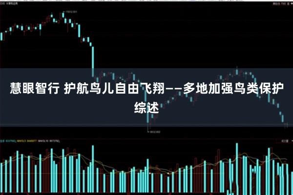 慧眼智行 护航鸟儿自由飞翔——多地加强鸟类保护综述