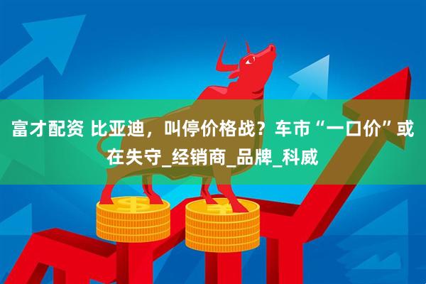 富才配资 比亚迪，叫停价格战？车市“一口价”或在失守_经销商_品牌_科威
