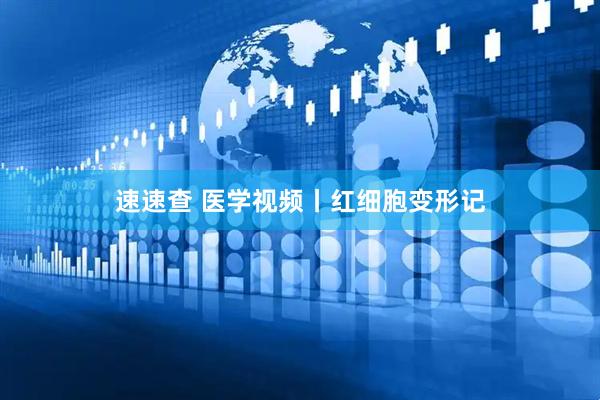 速速查 医学视频丨红细胞变形记