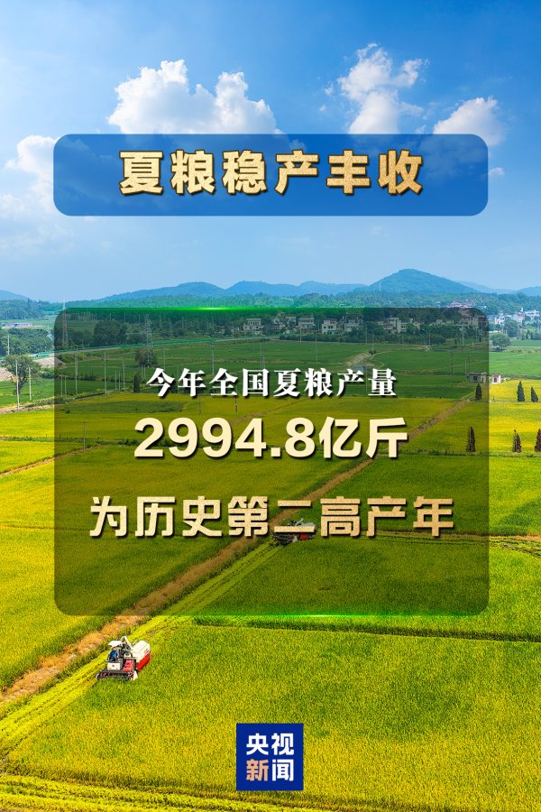 股点网 历史第二高产年！今年全国夏粮产量2994.8亿斤